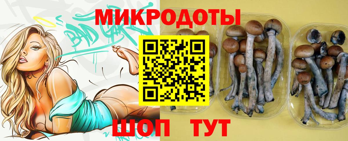 Псилоцибиновые грибы GOLDEN TEACHER  Галлюциногенные грибы MAGIC MUSHROOMS  Фролово  Вход с VPN 